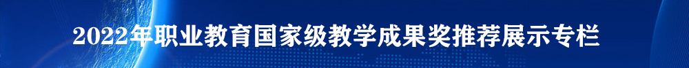 职业教育成果